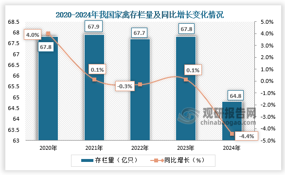 家禽存栏来看，近五年我国家禽存栏量呈上下波动趋势。2024年我国家禽存栏量为64.8亿只，比上年末减少3.0亿只，下降4.4%。