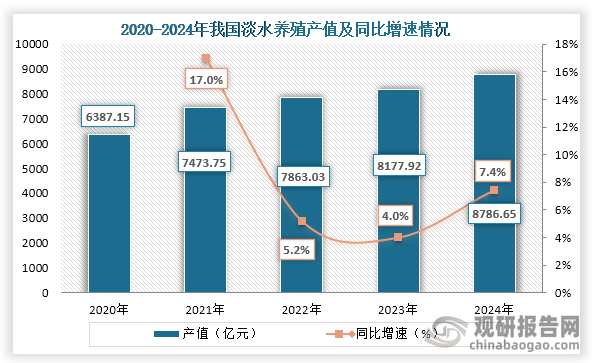 从产值来看，2020年到2024年我国淡水养殖产值持续增长，到2024年我国淡水养殖产值为8786.65亿元，同比增长7.4%。