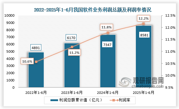 利润总额来看，2025年1-6月我国软件业务利润总额为8581亿元，同比增长12%；利润率为12.2%，近四年同期利润总额及利润率整体均呈增长趋势。