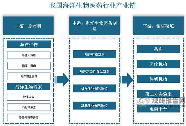 从产业链来看，我国海洋生物医药行业产业链上游为原材料，主要包括海洋生物、海洋生物毒素；中游为海洋生物医药制造，主要包括海洋药物制造、海洋功能性食品制造、海洋生物制品制造、其他生物制品制造；下游为销售渠道，主要包括药店、医疗机构、科研机构、第三方实验室、电商平台。