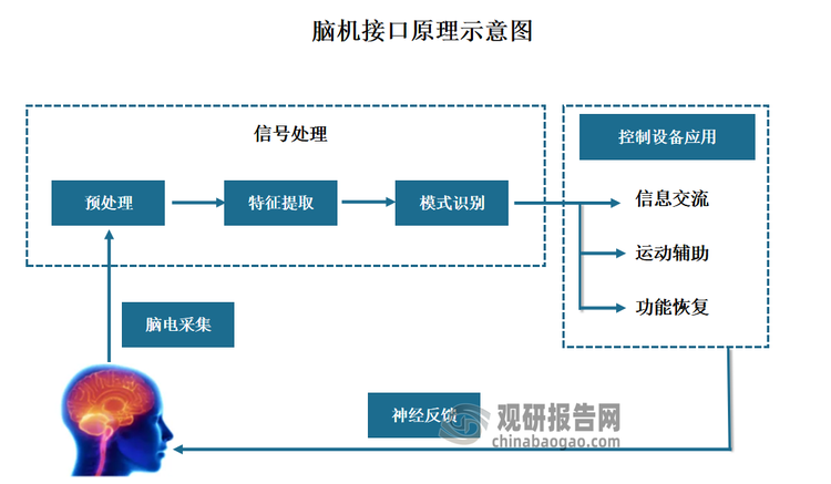 脑机接口是一种不依赖外周神经与肌肉系统，直接通过采集大脑电信号，实现人脑与外部设备双向通信的技术。脑机接口作用链路表现为：采集脑电波→信号处理与解码→转化为机器指令→反馈至外部设备或人脑。