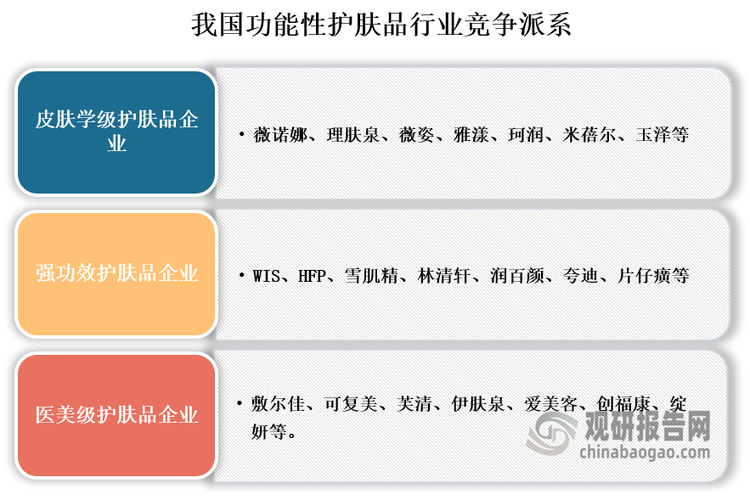 参与者来看，各大品牌商分别从三大细分赛道切入：皮肤学级护肤品一般是化妆品企业通过绑定专业的皮肤科医生开展产品研发，或是皮肤科医生自创品牌，代表品牌包括薇诺娜、理肤泉、薇姿、雅漾、珂润、米蓓尔、玉泽等；强功效护肤品参与者一般是化妆品公司、成分原料商、制药公司等，代表品牌包括WIS、HFP、雪肌精、林清轩、润百颜、夸迪、片仔癀等；医美级护肤品一般是生物医药、Ⅲ类医疗器械背景的公司开展研发，代表品牌包括敷尔佳、可复美、芙清、伊肤泉、爱美客、创福康、绽妍等。