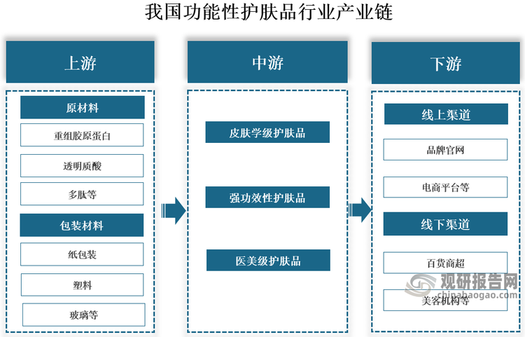 产业链来看，我国功能性护肤品行业产业链上游为材料，包括原材料供应和包装材料供应，其中代表性原材料包括重组胶原蛋白、透明质酸、多肽等，代表性包装材料包括纸包装、塑料、玻璃等；中游为功能性护肤品制造环节，根据成分和功能的不同，分为皮肤学级护肤品、强功效性护肤品和医美级护肤品；下游为产品流通环节，分为线上和线下渠道。