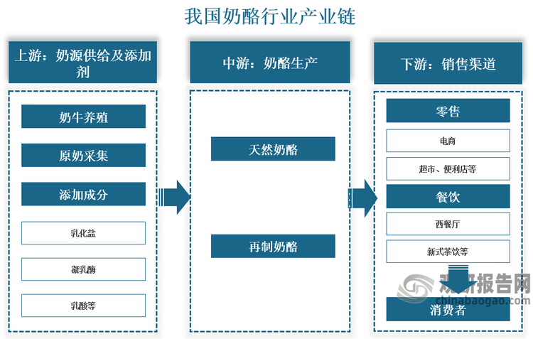 产业链来看，我国奶酪产业链上游主要是奶源的供给以及添加的成分，其中奶源供给主要涉及奶牛养殖以及原料奶采集，添加成分主要包含天然奶酪的凝乳酶、乳酸发酵产品以及再制奶酪中的乳化盐等；中游主要是天然奶酪和再制奶酪的生产；下游则为餐饮端和零售端，其中餐饮端主要应用于西式餐厅、新式茶饮、烘焙等，零售端主要通过线上的电商、线下的商超、便利店等销售渠道流入消费者手中。