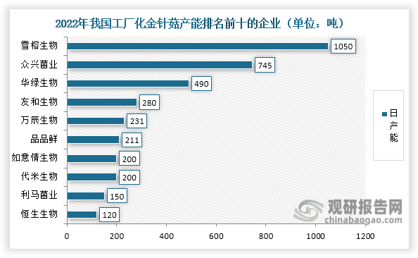 雪榕生物2022年工厂化金针菇日产能已达1050吨，稳居行业首位。但2024年其金针菇营业收入约为13.58亿元，同比下滑19.58%，毛利率也由2023年的6.15%降至4.35%，减少了1.8个百分点。众兴菌业凭借745吨的工厂化金针菇日产能规模，2022年位列全国第二。进入2024年，其金针菇业务营收降至8.38亿元，同比下滑8.06%，毛利率约为4.97%，减少9.14个百分点。这两家头部企业的经营数据变化，生动反映了2024年金针菇行业整体面临的盈利挑战和市场调整压力。