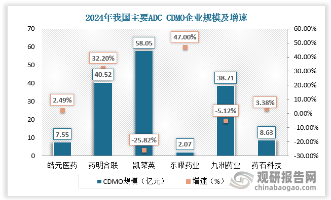 以药明合联为例，其基地分布在上海、常州、无锡三个地区，可在 200 公里范围内提供端到端服务，服务范围全面覆盖偶联药物、单抗中间体、连接子及有效载荷的发现、工艺开发与 GMP 生产全流程。凭借一站式服务优势，药明合联2024年CDMO规模高速增长32.2%，达40.52亿元。