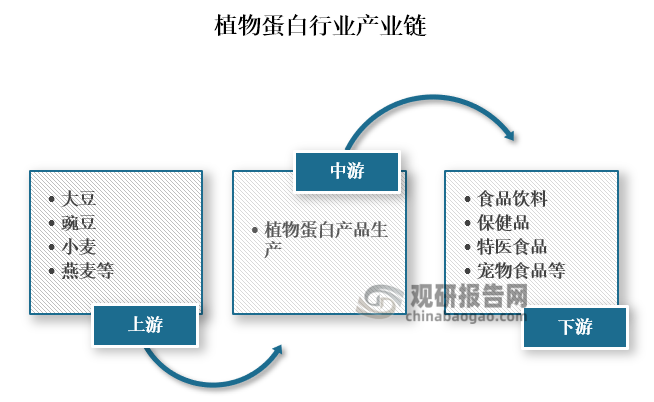 从产业链来看，植物蛋白上游主要为大豆、豌豆、小麦、燕麦等原材料；中游为植物蛋白产品生产；下游为食品饮料、保健品、特医食品、宠物食品等应用领域。