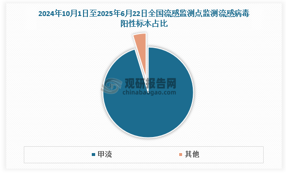 2009年，甲型H1N1流感病毒感染蔓延了全球114个国家，被甲型流感病毒感染的患者达上亿人，全球因甲型流感导致的死亡病例约为1.36万人。柳叶刀报道，中国正常年份死于流感相关的患者约8.81万人。根据数据，2024年10月1日至2025年6月22日，全国流感监测点进行4211例流感病毒阳性标本监测，其中甲型流感例占全部报告病例95.27%左右。