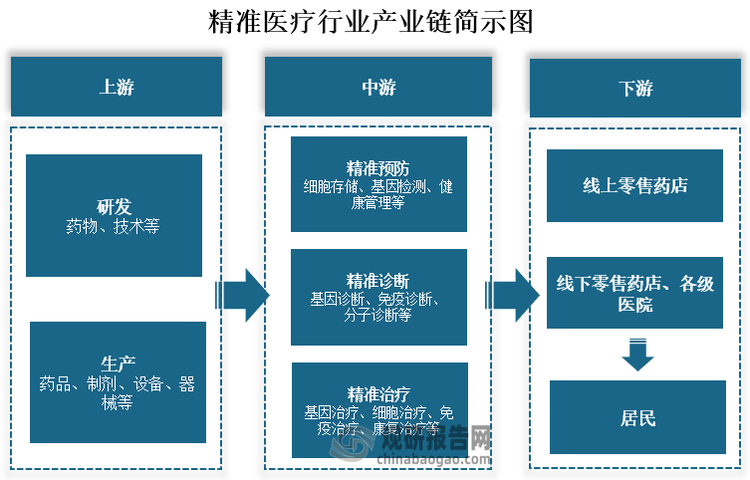 从产业链来看，精准医疗上游药物、技术研发和药品、制剂、设备、器械等生产环节；中游包括细胞存储、基因检测、健康管理等精准预防环节；基因诊断、免疫诊断、分子诊断等精准诊断环节；基因治疗、细胞治疗、免疫治疗、康复治疗等精准治疗环节。下游相关产品和服务通过线上和线下零售药店、各级医院等，最终提供给居民。