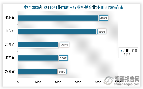 从各省市企业注册量来看，截至2025年8月10日我国尿素行业相关企业注册量前五的省市分别为河北省、山东省、江苏省、河南省、安徽省；企业注册量分别为4023家、3924家、2024家、2007家、1950家；占比分别为12.9%、12.6%、6.5%、6.5%、6.3%。其中河北省、山东省相关企业注册量超过3900家。