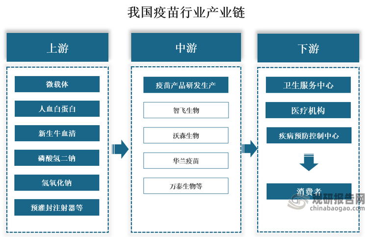 产业链来看，我国疫苗行业产业链上游为原材料，主要包括微载体、人血白蛋白、新生牛血清等培养基，磷酸氢二钠、麦芽糖、氢氧化钠等化学试剂，以及疫苗玻璃瓶、预灌封注射器等包装材料；中游为疫苗产品研发生产，代表企业有智飞生物、沃森生物、华兰疫苗、万泰生物等；下游为疫苗流通消费，即疫苗在签发流通后通过卫生服务中心、医疗机构、疾病预防控制中心到达终端消费者。