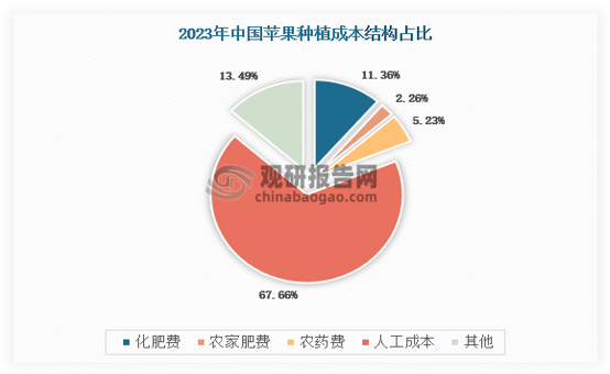 从苹果成本收益来看，山东、北京、河南等地种植总成本较高，山东、陕西、河南每亩净利润相对较高。2023年我国苹果种植成本中，人工成本占比最高，约为67.66%，其次是化肥和农药费，分别占苹果种植总成本的11.36%和5.23%，具体如下：