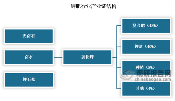 钾肥是不可再生的资源性产品，主要品种包括氯化钾、硫化钾、硝酸钾以及硫酸镁钾。氯化钾由于资源丰富、养分浓度高、易吸收且成本较低等特点，在钾肥产品中占比超过90%。氯化钾能够作为复合肥的生产材料，也能够用于农业直接施用，下游需求旺盛，主要有果蔬、玉米、水稻等农产品。同时，部分氯化钾产品还被应用于医药、林业等领域。