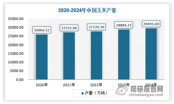 国家统计局数据显示，2024年全国玉米播种面积6.71亿亩，比上年增加782.7万亩，增长1.2%；玉米单产439.4公斤/亩，比上年增加4.0公斤，增长0.9%；玉米产量约为2.95亿吨，同比增加607.46万吨，增长2.1%，创历史新高。