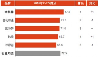 2016年中国汽车轮胎消费市场顾客满意度指数分析与排名