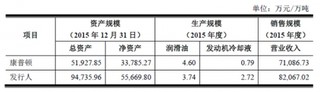 江苏龙蟠科技股份有限公司的行业竞争地位分析