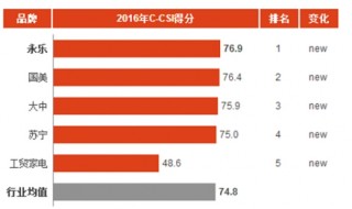 2016年中国电器城消费市场顾客满意度指数分析与排名