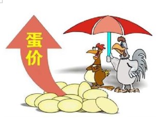 鸡蛋价格创“近十年来新低”产能过剩是主因 参考中国报告网发布《》