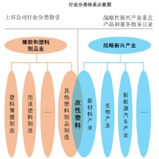 苏州禾昌聚合材料股份有限公司行业地位与竞争优劣势分析