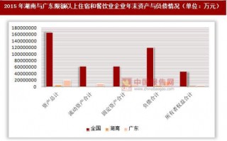 2015年湖南与广东各限额以上住宿和餐饮业企业年末资产与负债情况分析