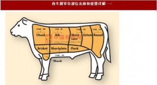 2017年我国牛肉行业产业链现状及市场供需状况分析