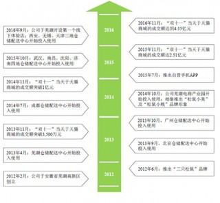 三只松鼠股份有限公司主营业务发展历程