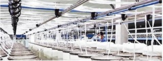 近期棉价有望继续上升 下游纺织业出现全面复苏迹象