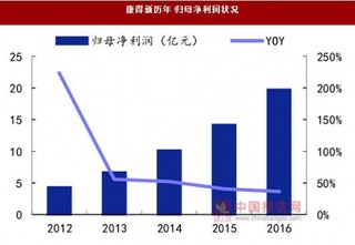 轻量化节能制品行业相关企业竞争态势分析