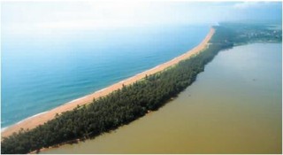 中国新一期海防林建设工程启动，带来效益的同时面临挑战