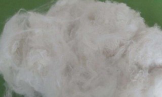 “绿色”纤维智能制造 “织”出纺织行业新图景