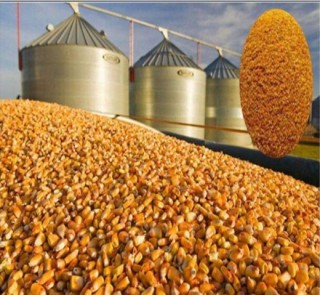 商务部公布对原产于美国的进口干玉米酒糟反倾销及反补贴调查最终裁定
