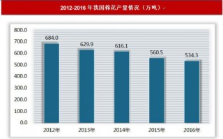 2016-2017年中国服装行业上游市场运营现状