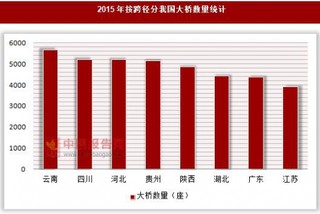 2015年按跨径分我国大桥数量统计