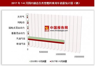 2017年1-6月國內(nèi)制造各類型燃料乘用車銷量情況分析