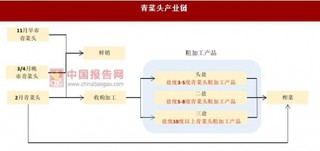 青菜头加工处理易储存 价格受天气因素影响波动较大