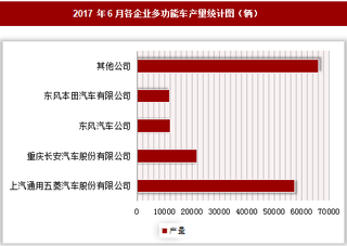 2017年6月各企业多功能车产量情况分析