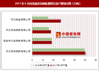 2017年6月河北新武安钢铁集团生铁产量情况分析