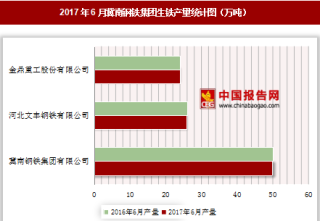 2017年6月冀南钢铁集团生铁产量情况分析