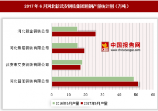 2017年6月河北新武安钢铁集团粗钢产量情况分析