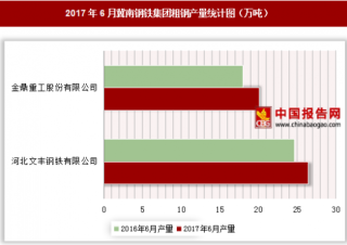 2017年6月冀南钢铁集团粗钢产量情况分析