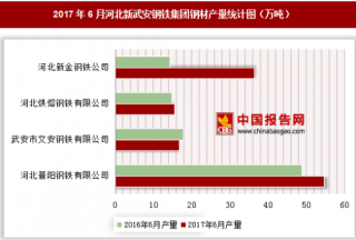 2017年6月河北新武安钢铁集团钢材产量情况分析