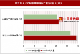 2017年6月冀南钢铁集团钢材产量情况分析