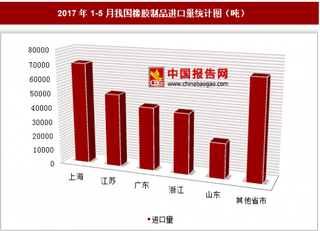 2017年1-5月我國進口橡膠制品29.98萬噸 其中上海進口占比最大