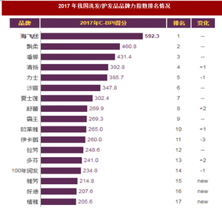 2017年我国洗发/护发品品牌力指数排名情况