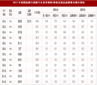 2017年我国汽车美容维修/快修连锁店品牌力指数排名情况