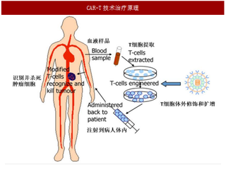 2017年CAR-T行业技术发展历程与市场规模预测分析（图）