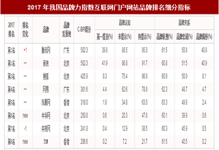 2017年我国互联网门户网站品牌力指数排名情况