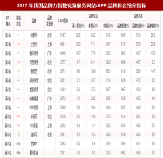 2017年我国视频服务网站/APP品牌力指数排名情况