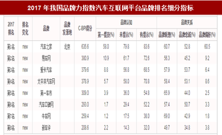 2017年我国汽车互联网平台品牌力指数排名情况