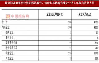 2017年湖南株洲市按注冊類型分居民服務、修理和其他服務業(yè)企業(yè)法人單位和從業(yè)人員占比情況調(diào)查（圖）